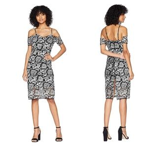 Romeo & Juliet Couture Floral Lace Dress